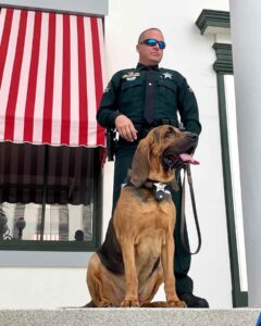 k9 buster