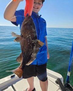 grouper