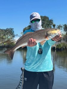 redfish
