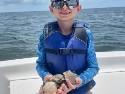 scallop